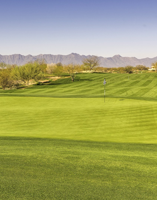 Trae tus palos. Y sus expectativas.