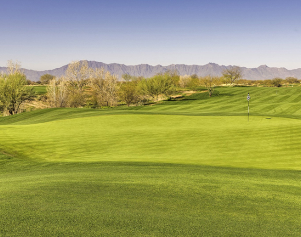 Trae tus palos. Y sus expectativas.